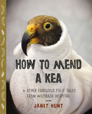 book cover for How to Mend a Kea