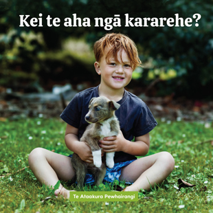 book cover for Kei te aha ngā kararehe? What are the animals doing? reviewed by Swings + Roundabouts