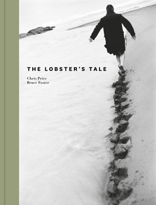 book cover for The Lobster’s Tale