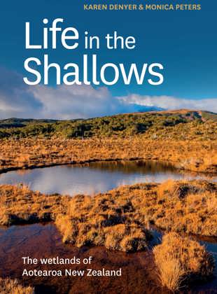 Life in the Shallows