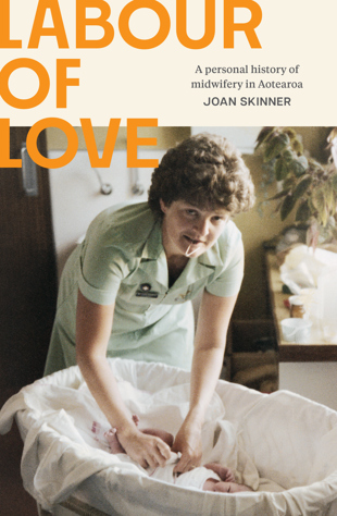 book cover for Labour of Love